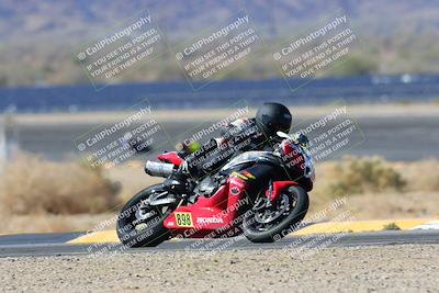 media/Mar-23-2025-CVMA (Sun) [[674f32b282]]/Race 2-Amateur Supersport Open/